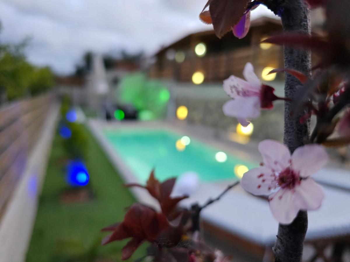 Elia Paradise With Private Pool Villa *